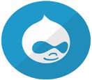 Drupal core update